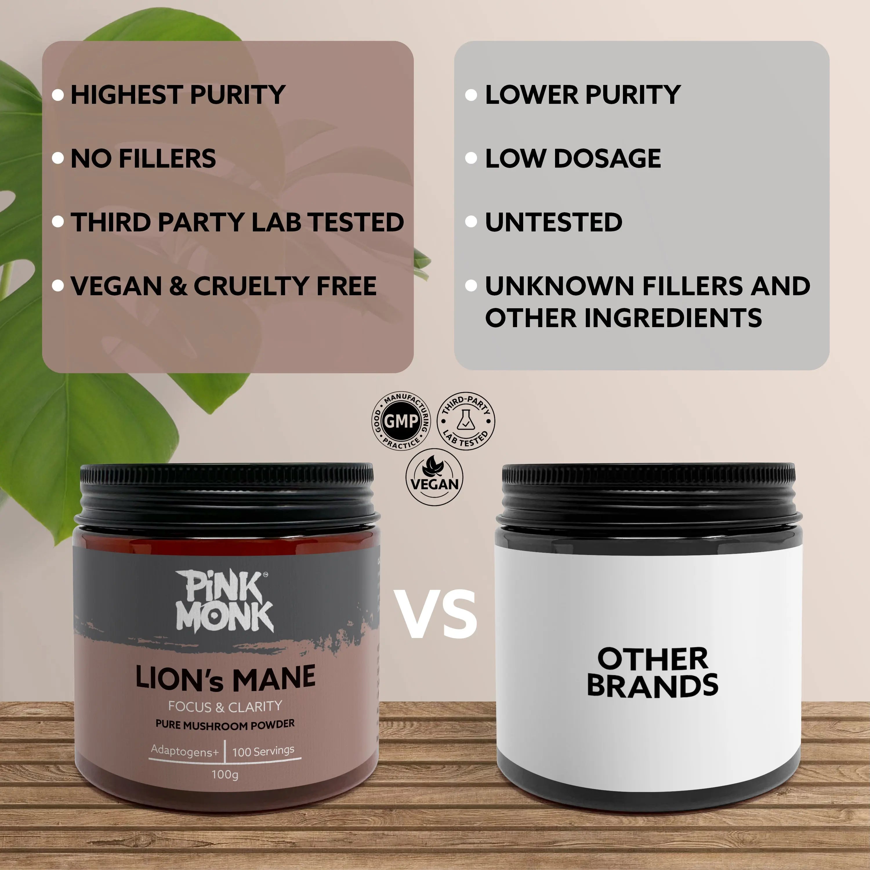 LION'S MANE pinkmonk-co-uk